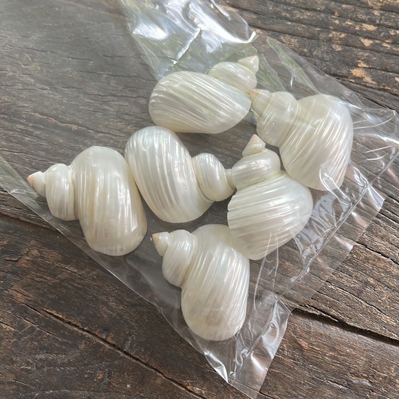 VINTAGE capiz shell placemats - with coasters, embroidered napkins, napkin rings - Picture 11 of 11